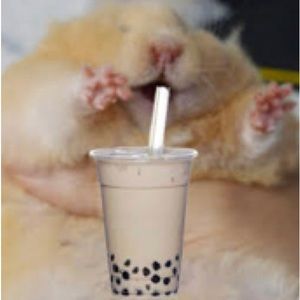 Meet your Posher, Cheyenne